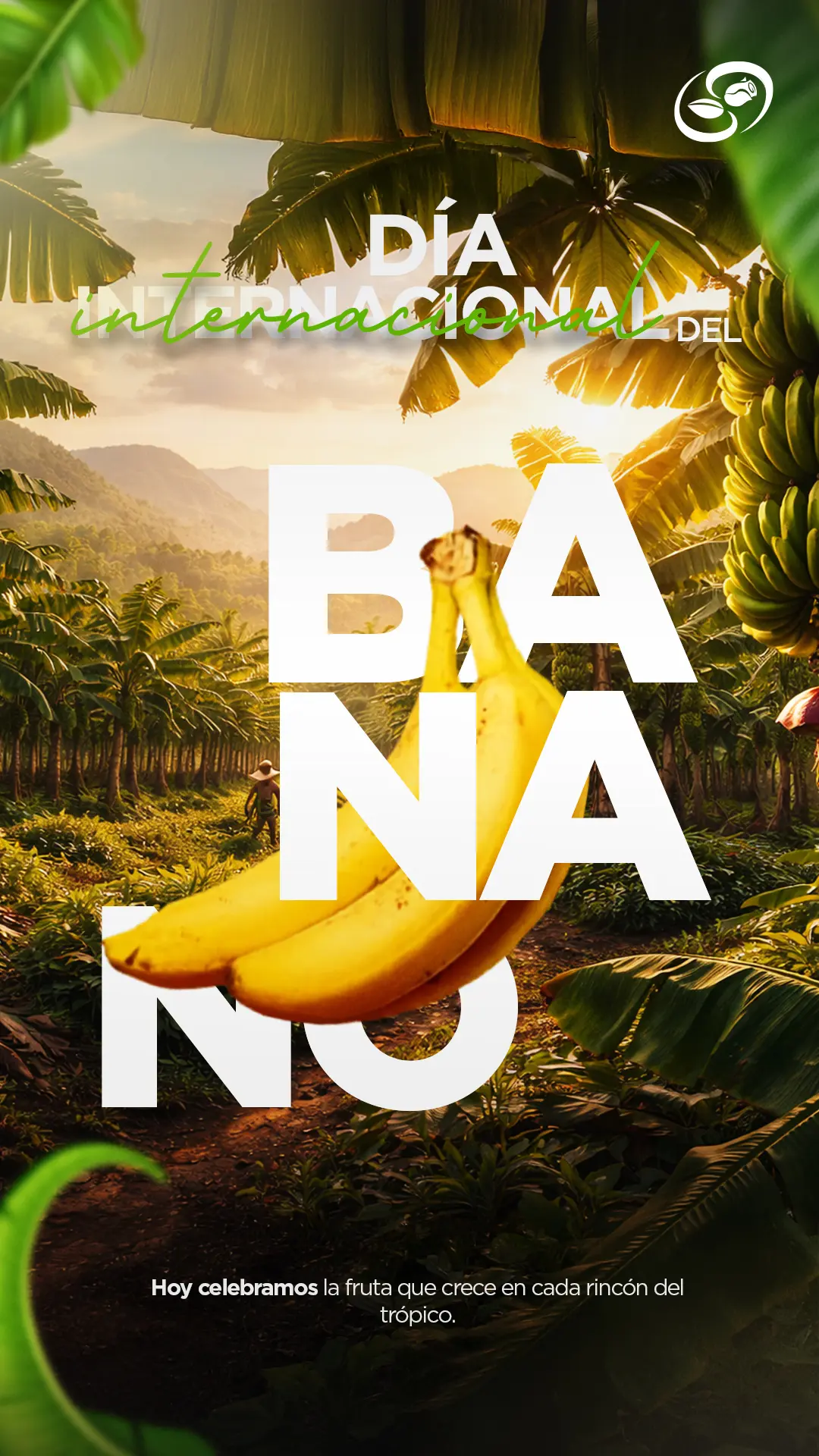 Pieza gráfica Día Internacional del Banano